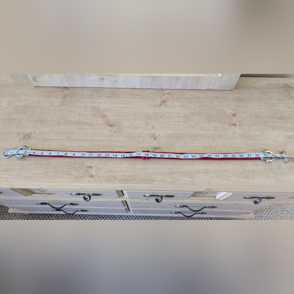 Belt - Picture 3 of 5